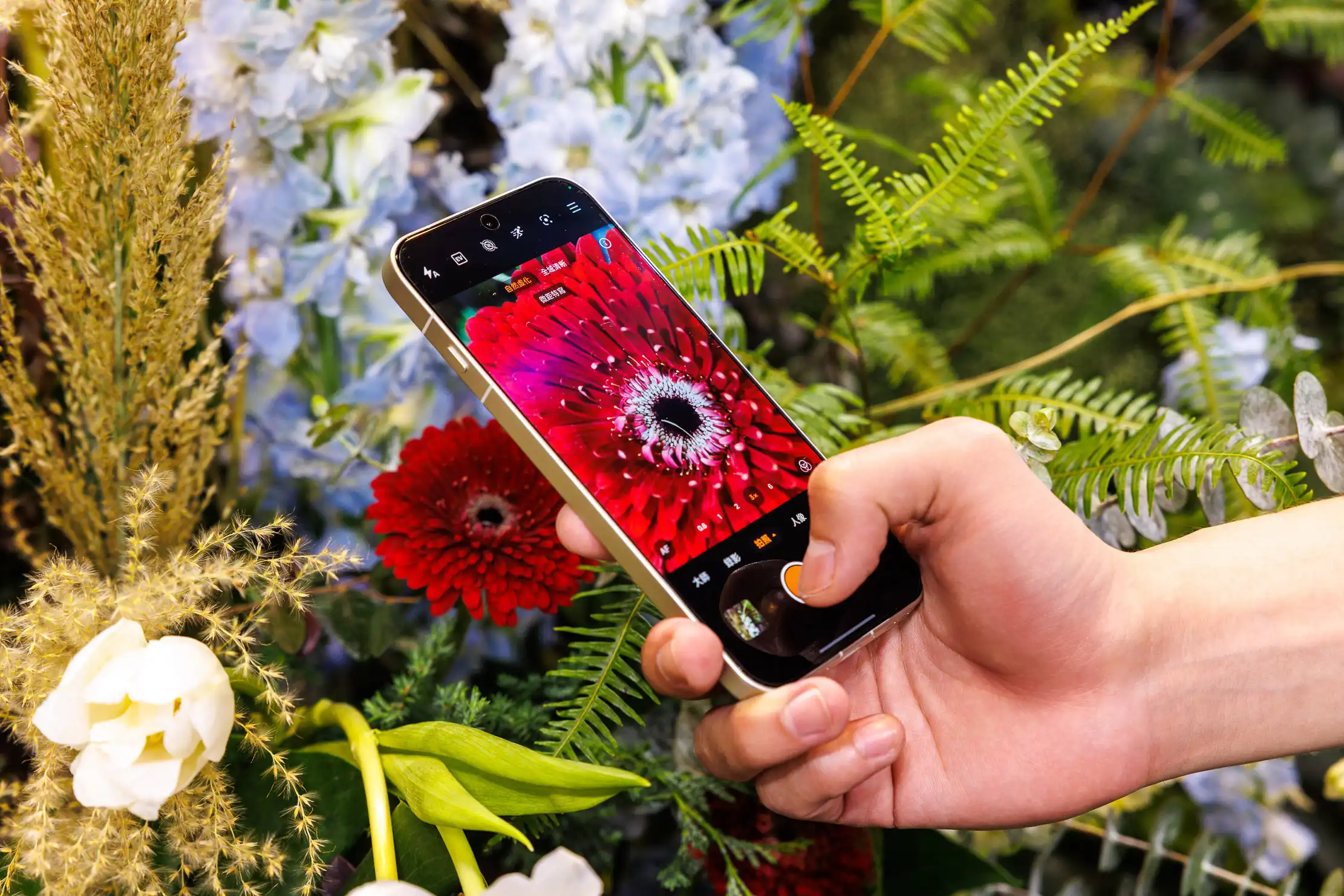 OPPO Find X9 系列登台｜2 億畫素哈蘇長焦、天璣 9500、7500mAh 超強旅拍旗艦 Find X9 系列以OPPO影像技術為基礎，結合專業相機品牌哈蘇的經典色調與美學，支援最近10公分的長焦微距，帶來更多有趣的視角1