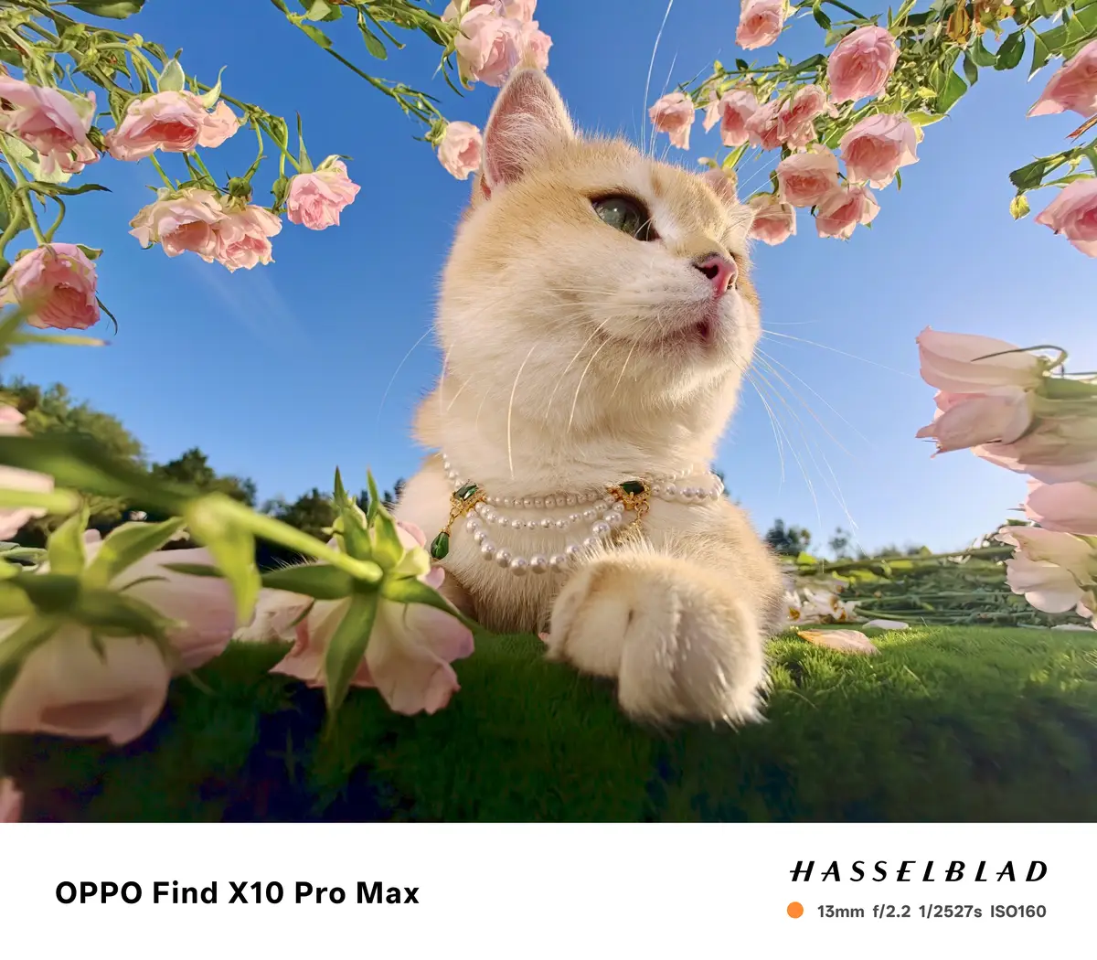 OPPO Find X10 Pro Max 系列實拍樣張展示