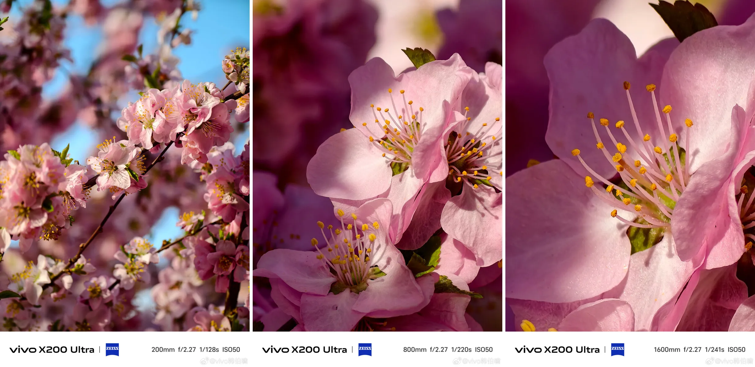 vivo X200 Ultra 將搭載 35mm 主攝+外接鏡頭挑戰手機攝影天花板