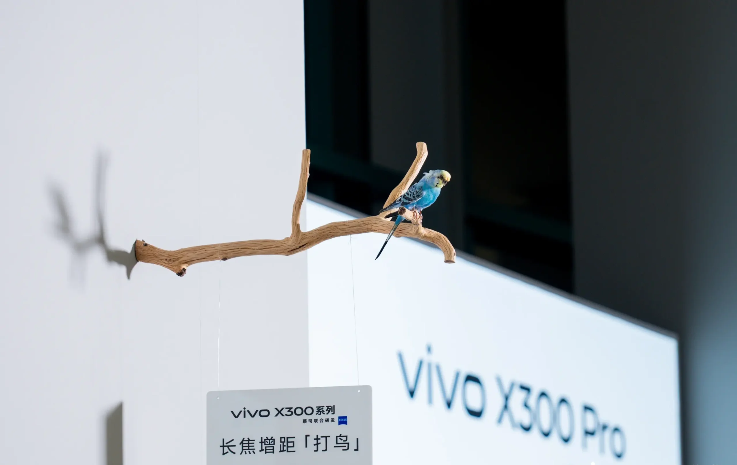 vivo X300 系列登場：全球首發天璣 9500、蔡司 2 億超級長焦，開啟行動影像新時代 【vivo新聞照片】vivo X300 Pro搭載85mm蔡司2億APO超級長焦鏡頭，從感光元件、光學到防抖手震的全方位專業長焦系統。 scaled